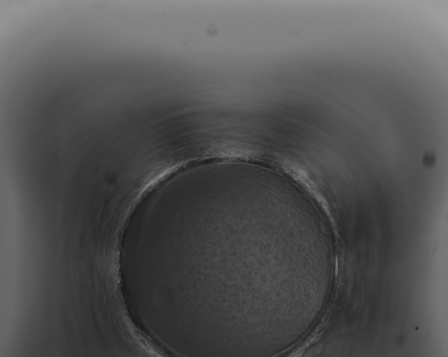 X0000098000249200804011839