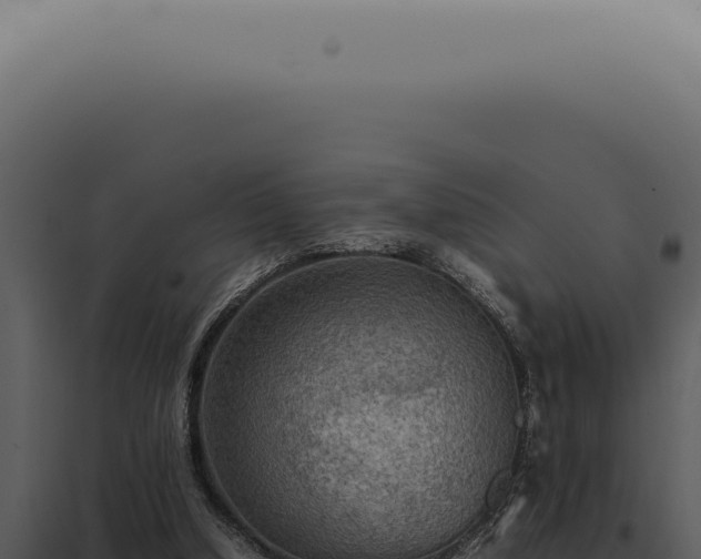 X0000098000250200804011839