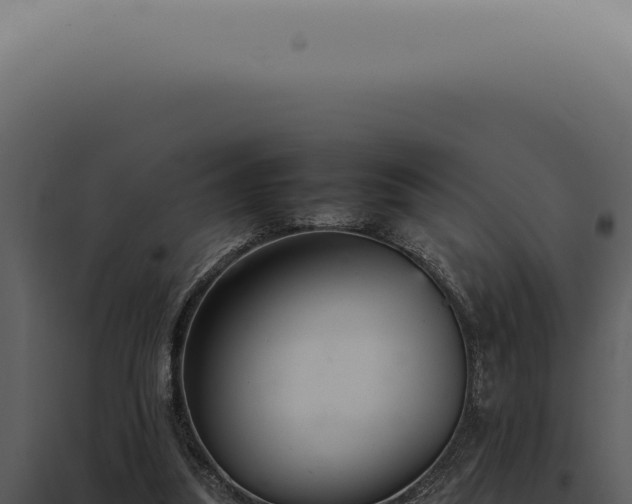 X0000098000251200804011839