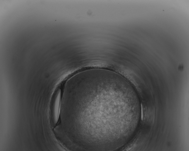 X0000098000252200804011839