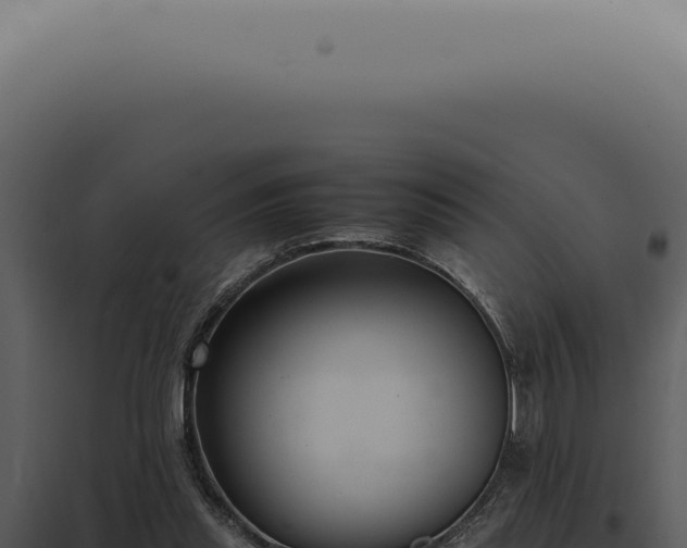 X0000098000253200804011839