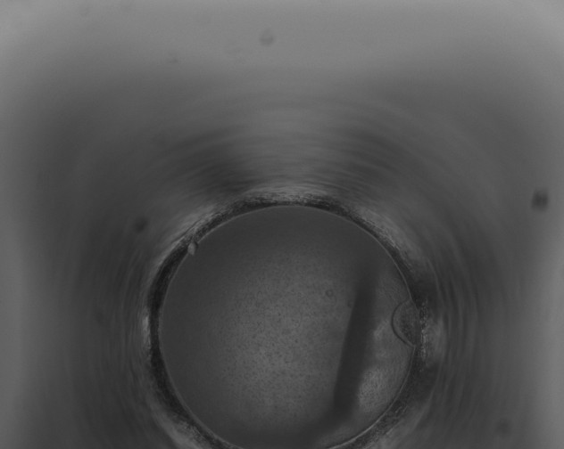 X0000098000254200804011839