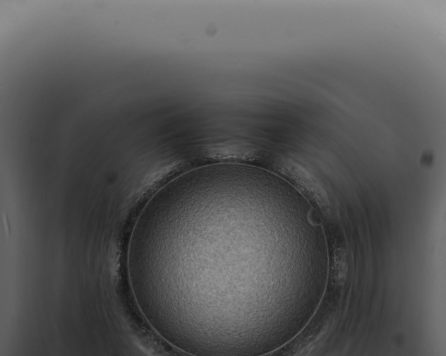 X0000098000255200804011839