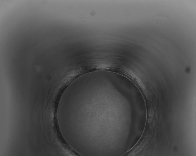 X0000098000257200804011839