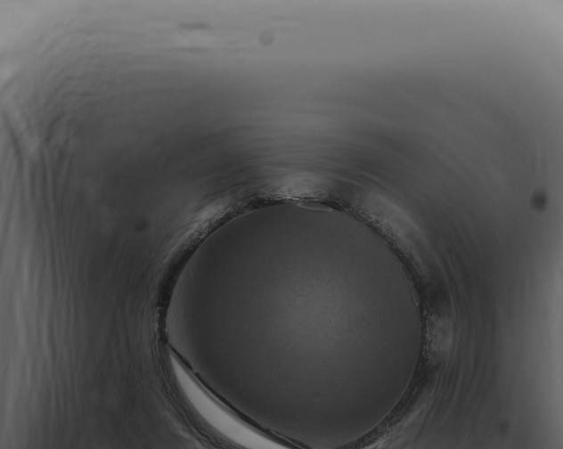 X0000098000260200804011839