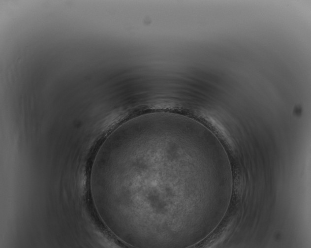 X0000098000261200804011839