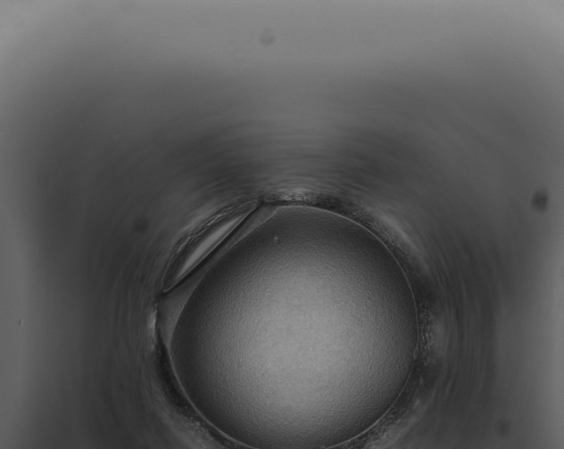 X0000098000262200804011839