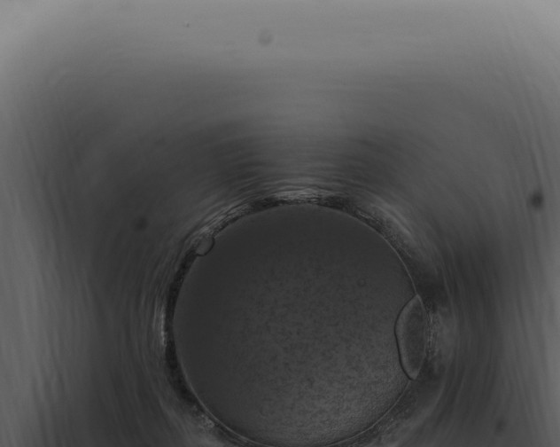 X0000098000267200804011839