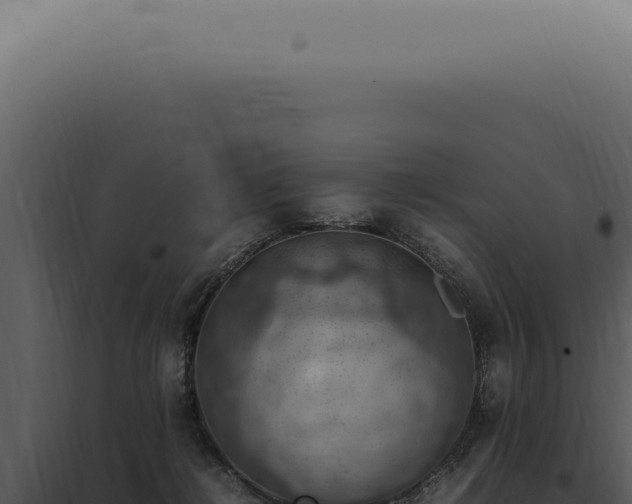 X0000098000268200804011839