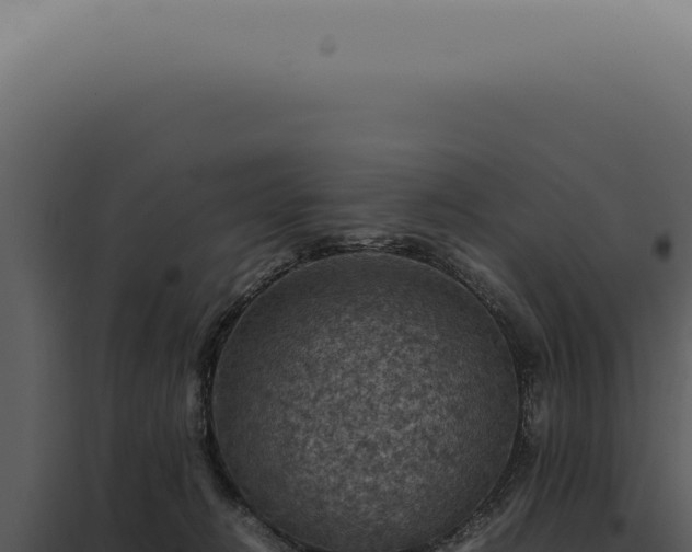 X0000098000270200804011839