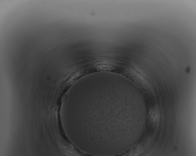 X0000098000271200804011839