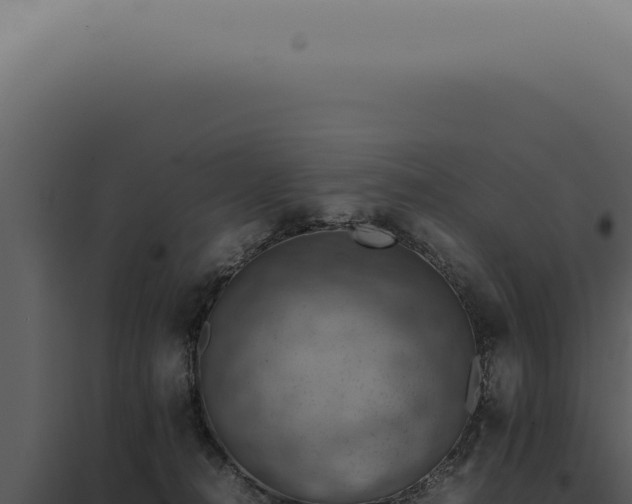 X0000098000272200804011839