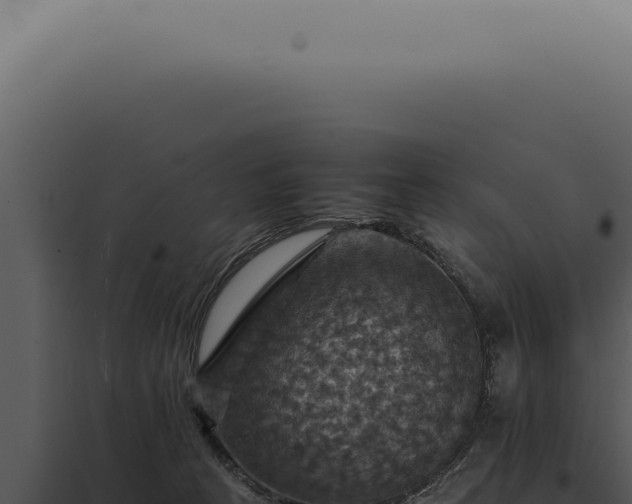 X0000098000273200804011839