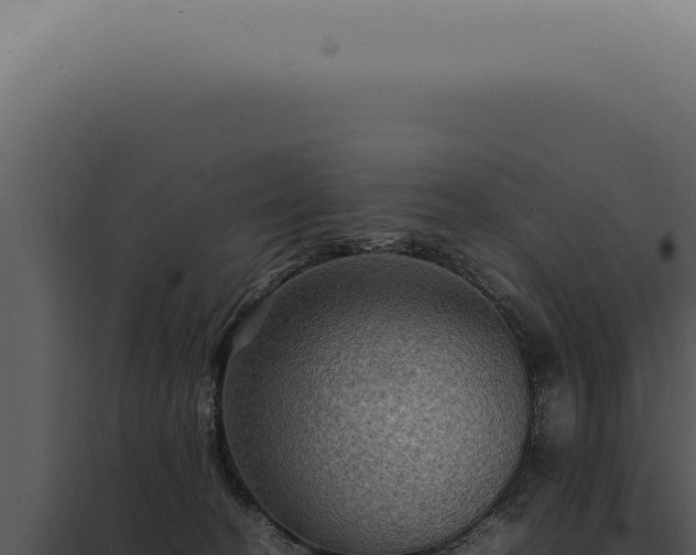 X0000098000274200804011839