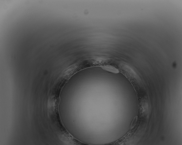 X0000098000276200804011839