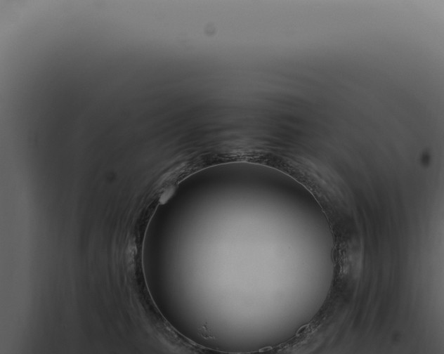 X0000098000279200804011839