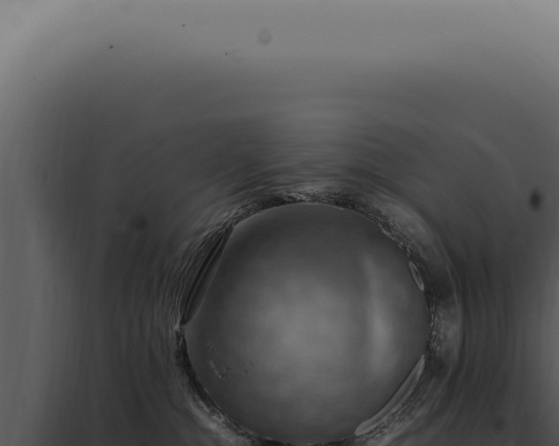 X0000098000284200804011839