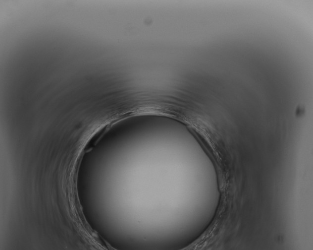 X0000098000289200804011839