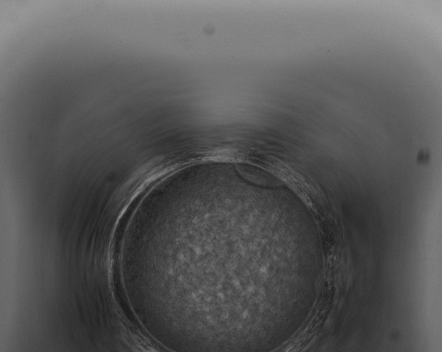 X0000098000290200804011839
