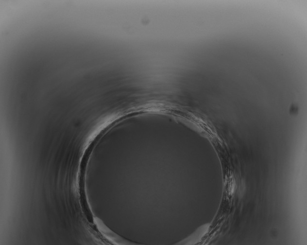 X0000098000292200804011839