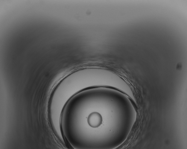 X0000098000293200804011839