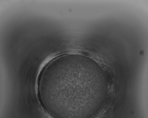 X0000098000294200804011839