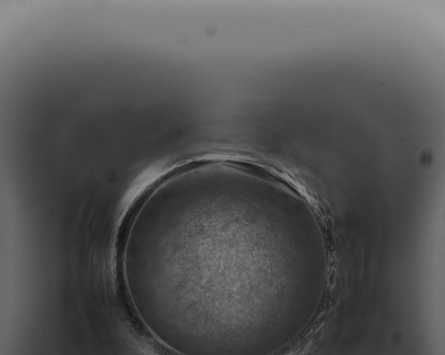 X0000098000296200804011839