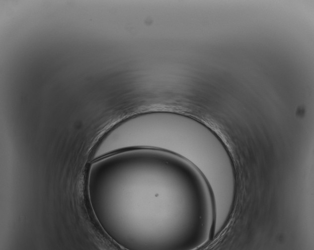 X0000098000297200804011839