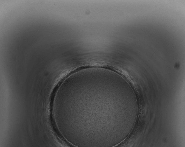 X0000098000299200804011839