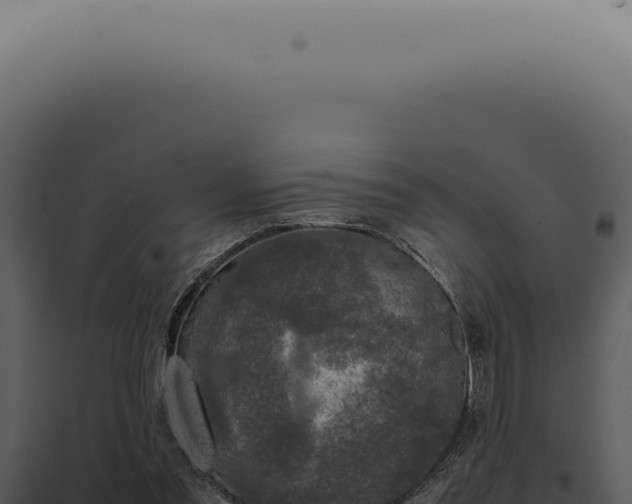 X0000098000301200804011839