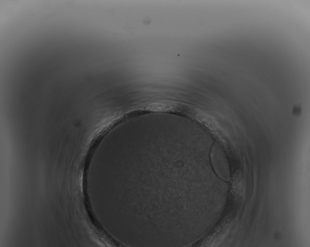 X0000098000303200804011839