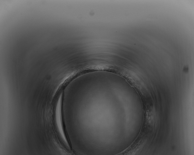 X0000098000304200804011839