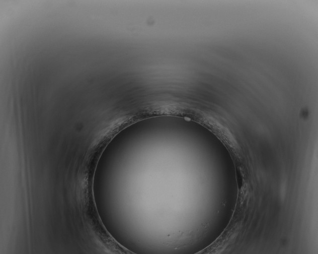 X0000098000306200804011839