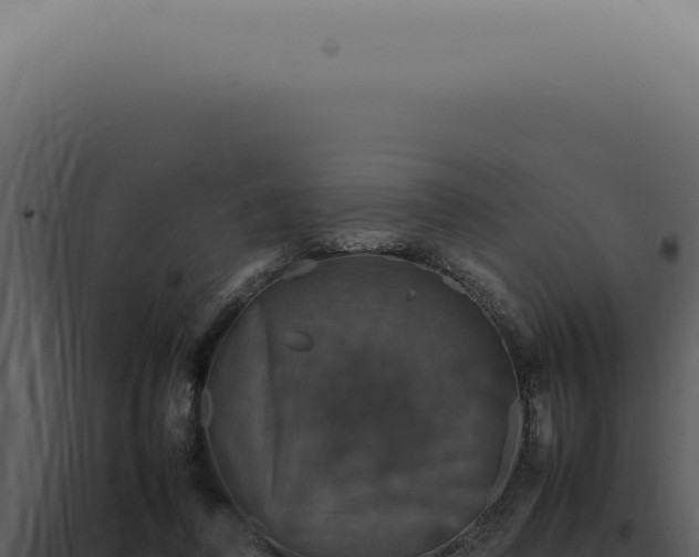 X0000098000308200804011839