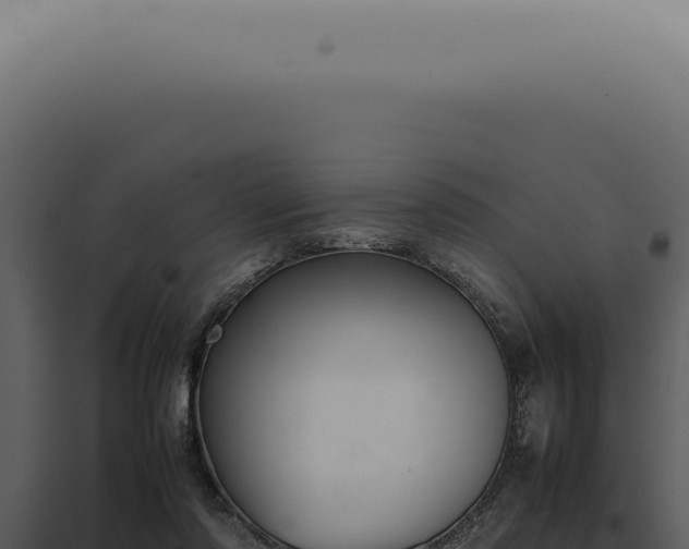 X0000098000310200804011839