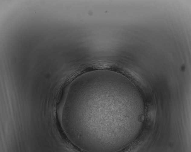 X0000098000315200804011838