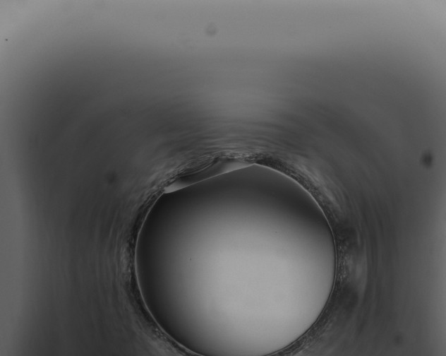X0000098000317200804011838