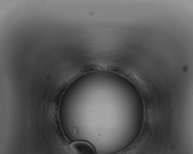 X0000098000318200804011838