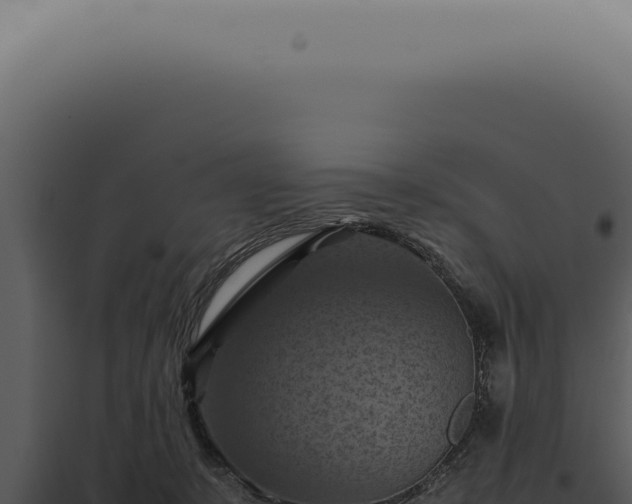 X0000098000319200804011838