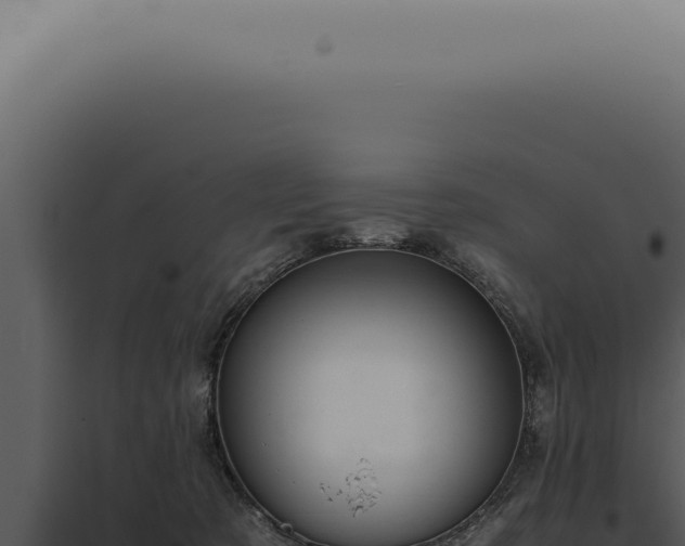X0000098000321200804011838