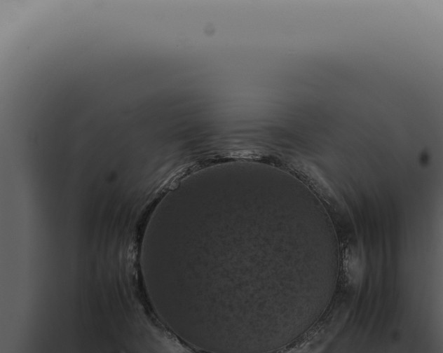 X0000098000322200804011838