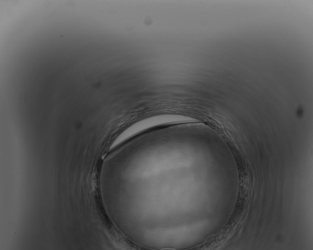 X0000098000323200804011838
