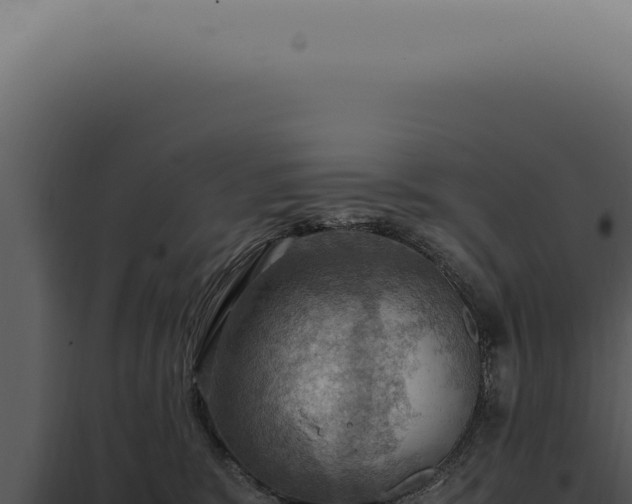 X0000098000327200804011838