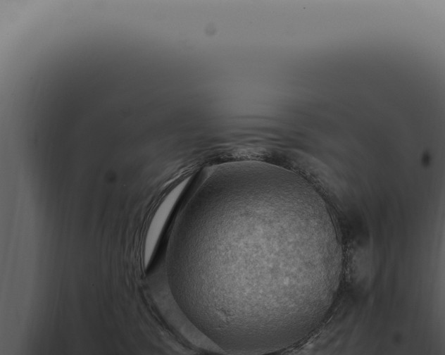 X0000098000329200804011838