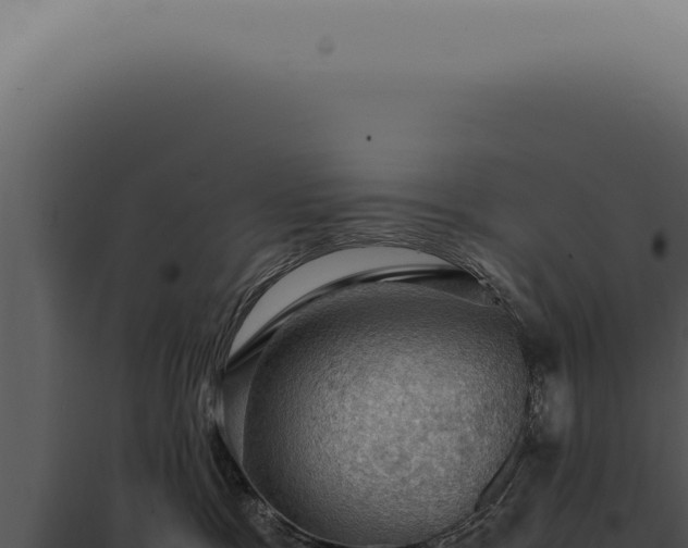 X0000098000333200804011838