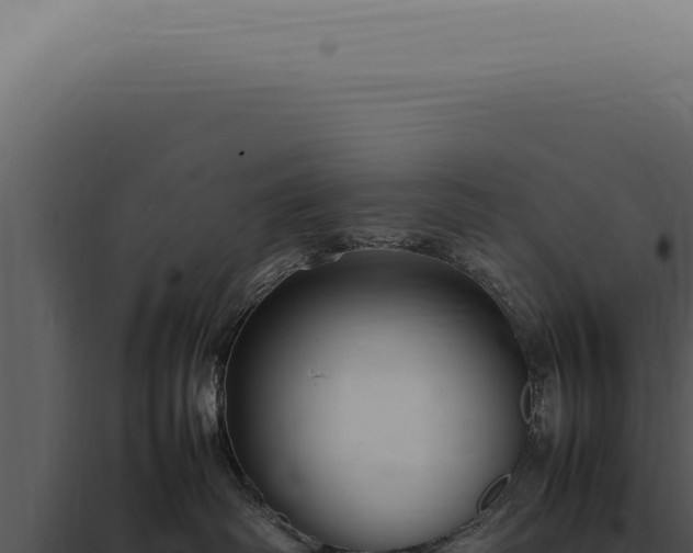 X0000098000334200804011838