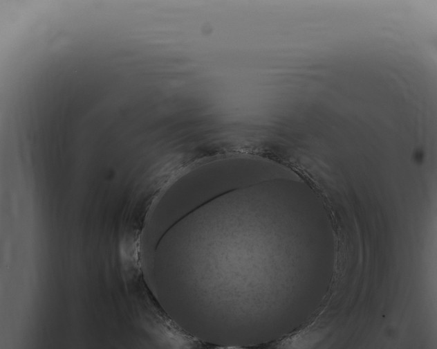 X0000098000336200804011838