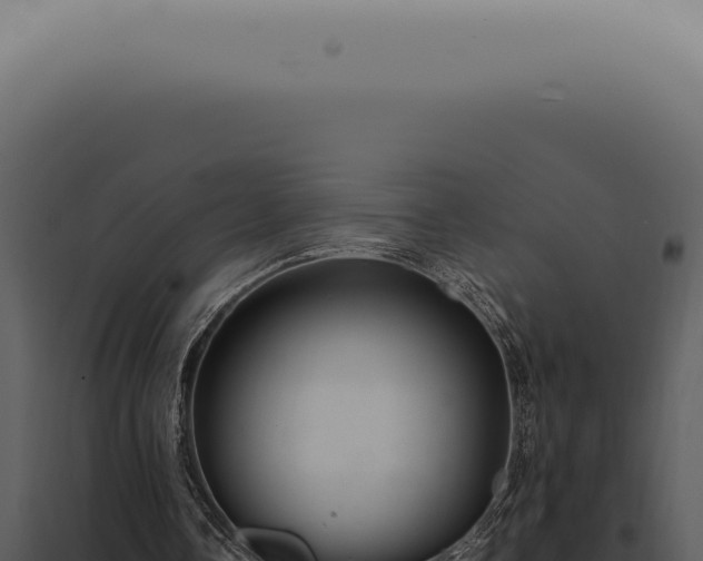 X0000098000338200804011838