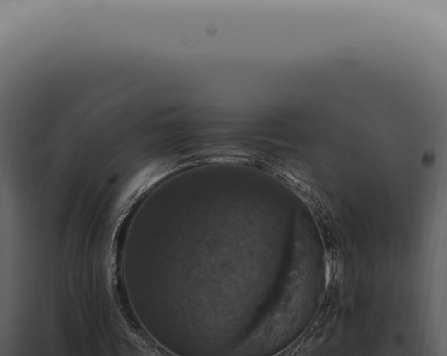 X0000098000339200804011838