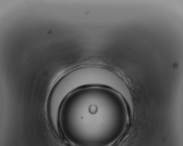 X0000098000340200804011838